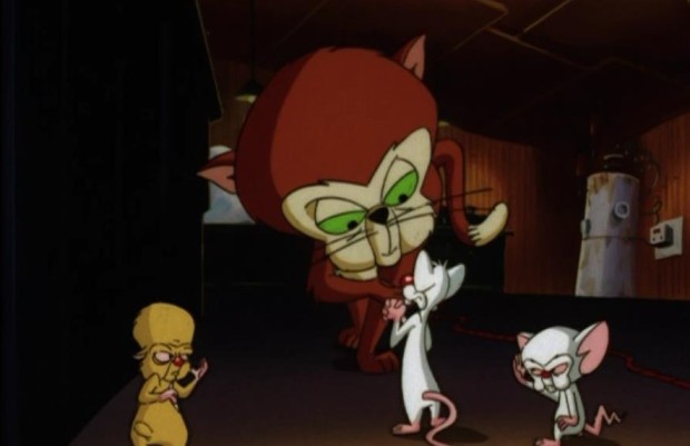 Pinky and the Brain – 24 Nov 2006